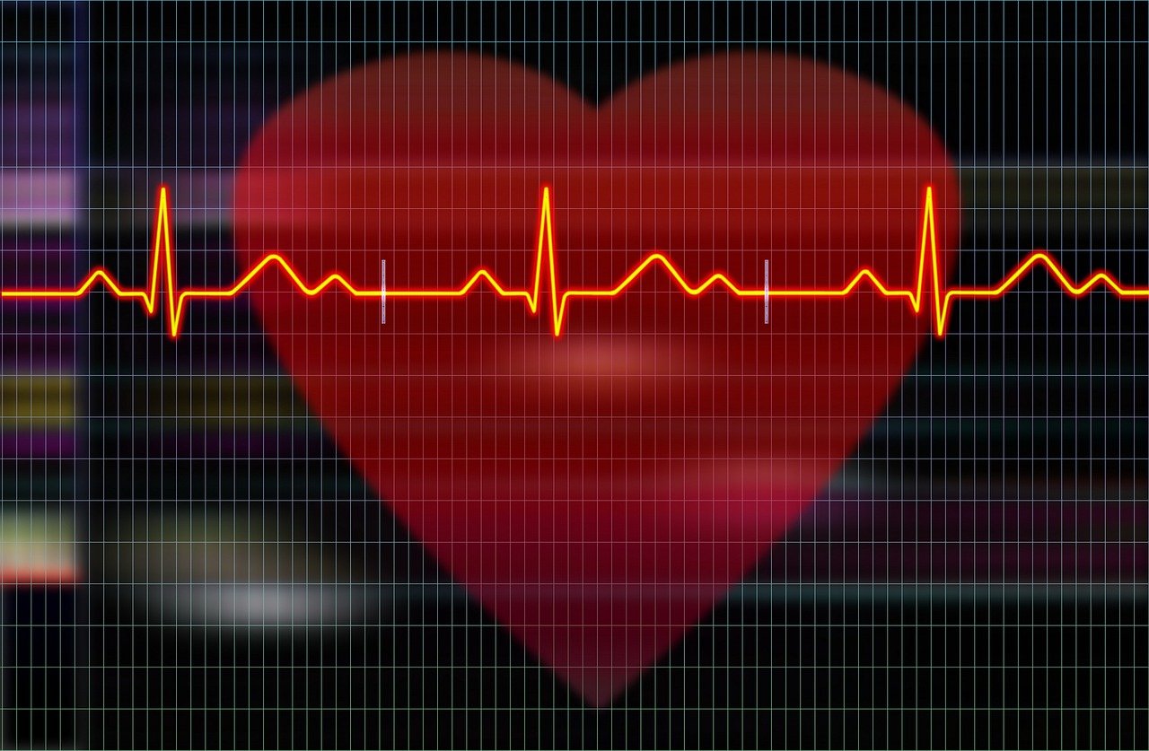 cardiogram, heartbeat, heart-5781442.jpg