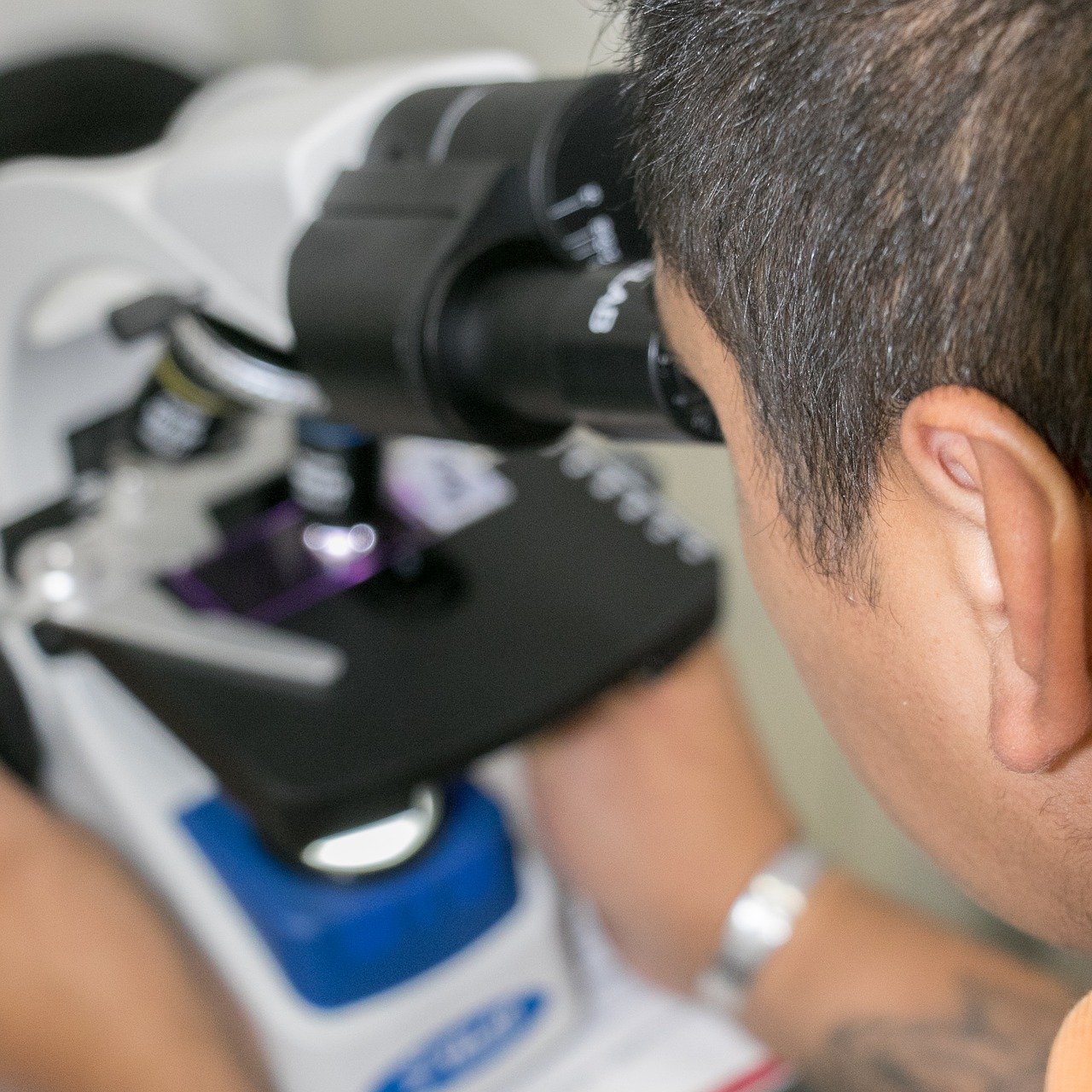 technology, microscope, investigation-3519754.jpg